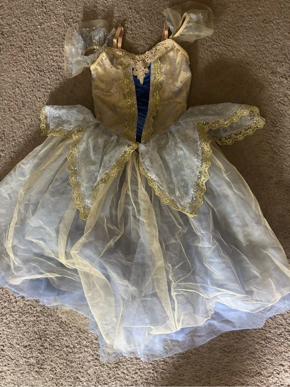 Girls Gold and Blue Ballet Costume